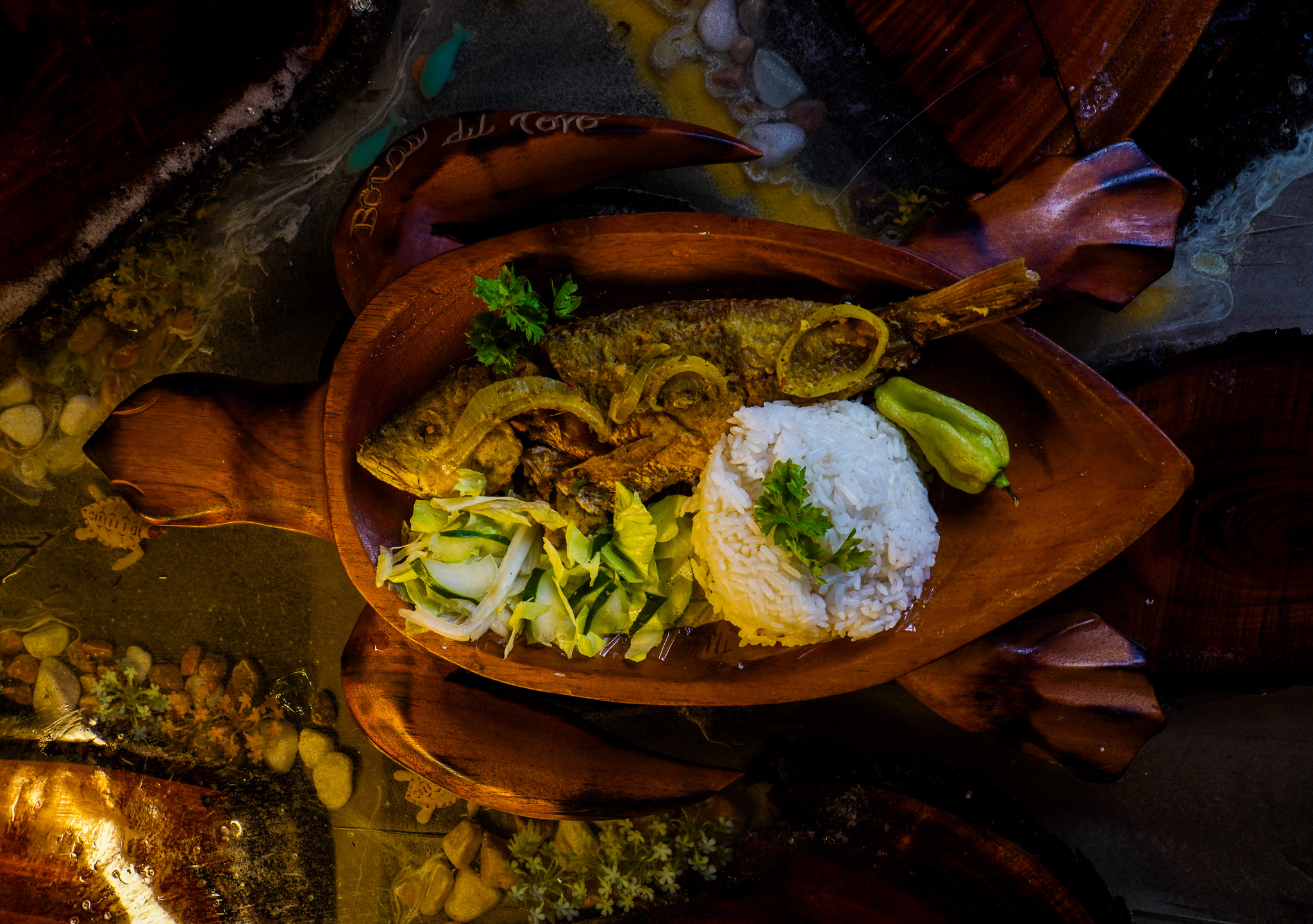 Logo de La Tortuguita: una tortuga marina con un atardecer, olas, palmeras, hibiscos, piña y coco en su caparazón